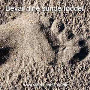 Workshops- Bevar dine sunde fødder | Vibeke Ungstrup, terapeut og clairvoyant, Hillerød, Nordsjælland
