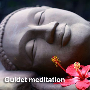 Workshops, Vibeke Ungstrup Workshops- Guidet meditation | Vibeke Ungstrup, terapeut og clairvoyant, Hillerød, Nordsjælland