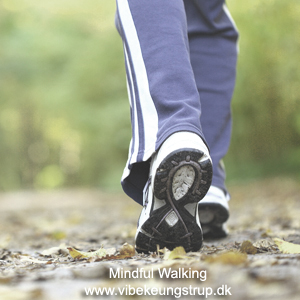 Workshops, Vibeke Ungstrup Workshops- Mindful walking | Vibeke Ungstrup, terapeut og clairvoyant, Hillerød, Nordsjælland