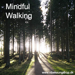 Mindful walking med Vibeke Ungstrup Mindful walking | Vibeke Ungstrup, terapeut og clairvoyant, Hillerød, Nordsjælland