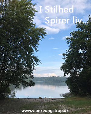 I Stilhed Spirer Liv