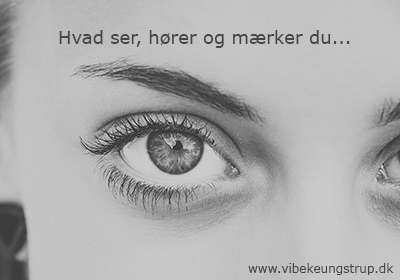 Hvad er bevidsthed – Er du bevidst i de valg du træffer…